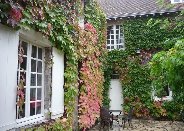 La Vigne Vierge